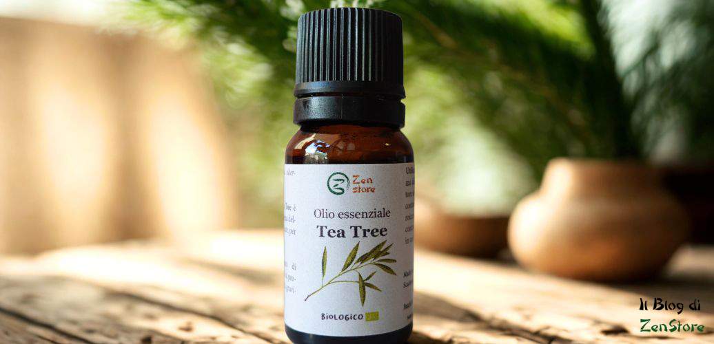 Tea Tree Oil: l'olio essenziale potente e versatile da tenere sempre in casa